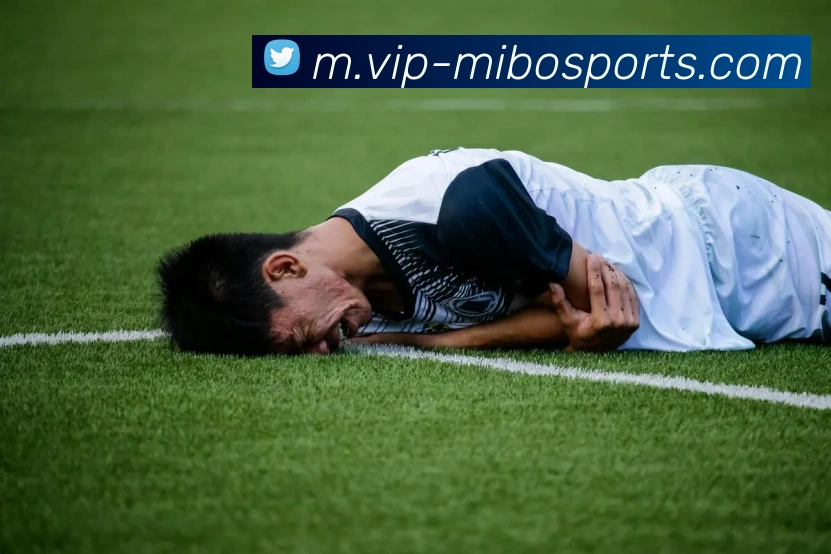 App Interface Preview