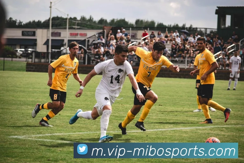 球赛投注APP 封面图