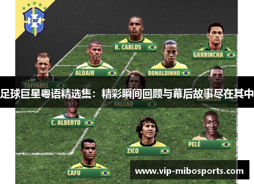 足球巨星粤语精选集：精彩瞬间回顾与幕后故事尽在其中