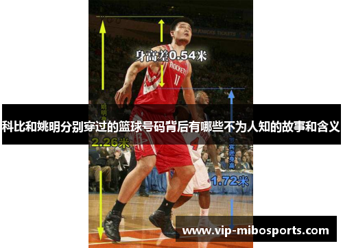 科比和姚明分别穿过的篮球号码背后有哪些不为人知的故事和含义
