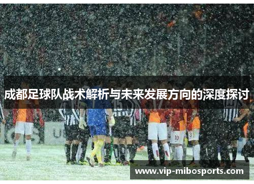 成都足球队战术解析与未来发展方向的深度探讨