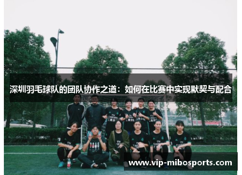 深圳羽毛球队的团队协作之道：如何在比赛中实现默契与配合